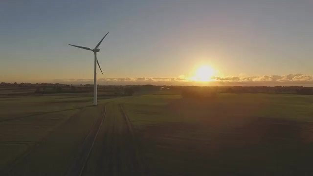bg-video-wind_tribune-thumb